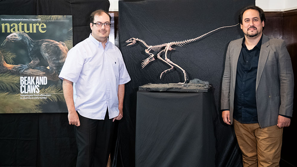 Un fósil devela un enigma de la paleontología: cómo eran los ancestros de los reptiles voladores | CONICET