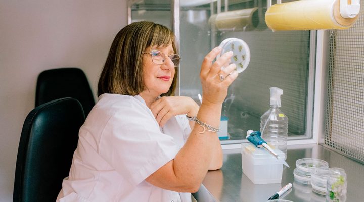 Especialista en agrobiotecnología del CONICET: ganadora del Premio Internacional L’Oréal-UNESCO “Por las Mujeres en la Ciencia”