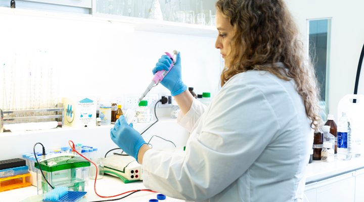 Revelan que las hormonas tiroideas favorecen la diseminación de ciertos linfomas
