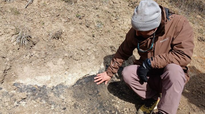 Especialistas del CONICET lideran estudios para el Manejo de Riesgos y Restauración Ambiental tras los incendios en la Patagonia