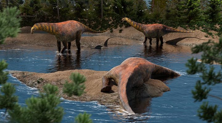 Descubren en Neuquén una nueva especie de dinosaurio saurópodo que vivió hace 95 millones de años