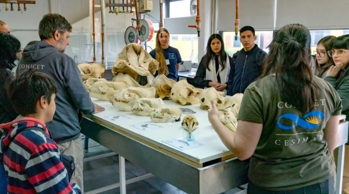 Miles de personas participaron de una nueva edición del CENPAT Abierto en Puerto Madryn