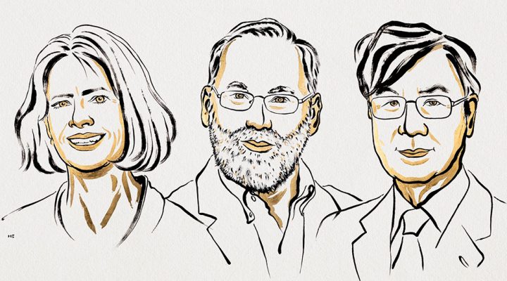 El Premio Nobel de Medicina fue para descubrimientos innovadores sobre la tolerancia inmunológica periférica