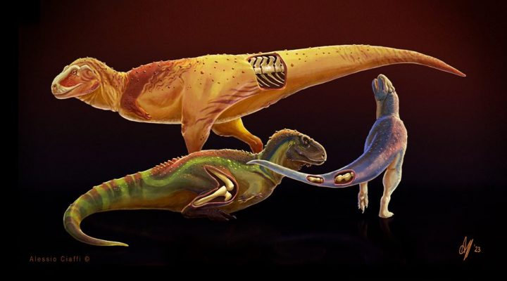 Researchers identify diseases in predatory dinosaurs that lived in Patagonia at the end of the Cretaceous period