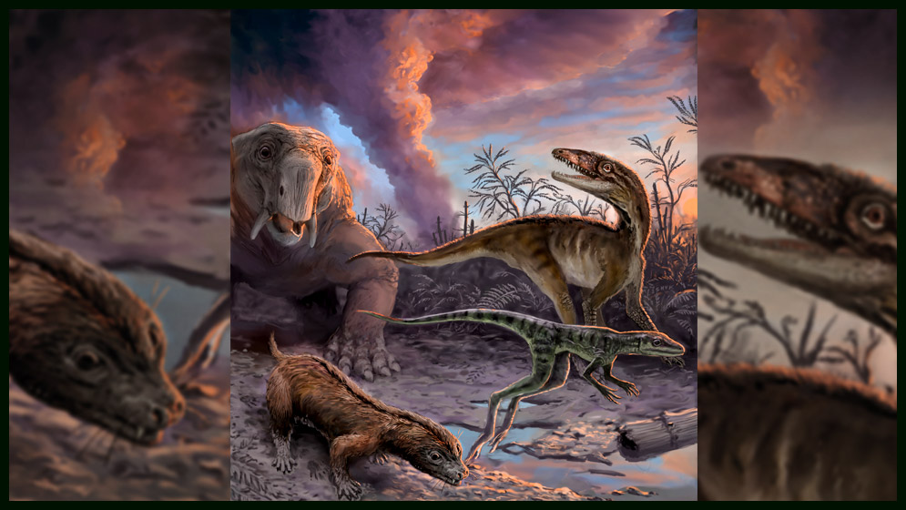 La “rápida” evolución de los dinosaurios | CONICET La “rápida” evolución de los dinosaurios | CONICET