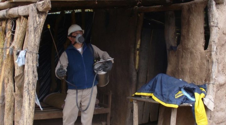 Logran interrumpir la transmisión humana de la enfermedad de Chagas en un municipio chaqueño