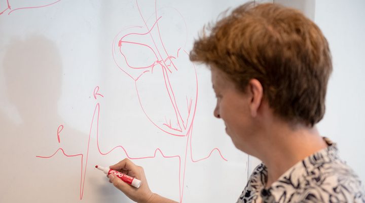 Un avance del CONICET prepara el camino para innovar en el desarrollo de marcapasos y terapias para enfermedades cardíacas