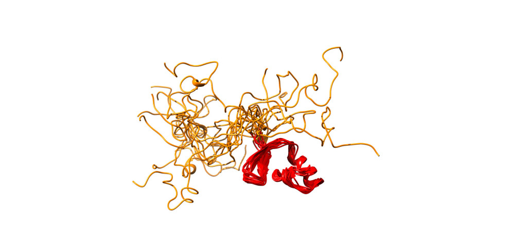 Foto 2 Proteina intrinsecamente desordenada