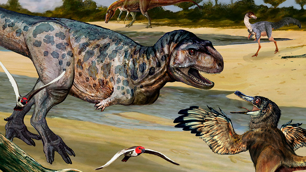 Descubren una nueva especie de dinosaurio depredador en Neuquén | CONICET