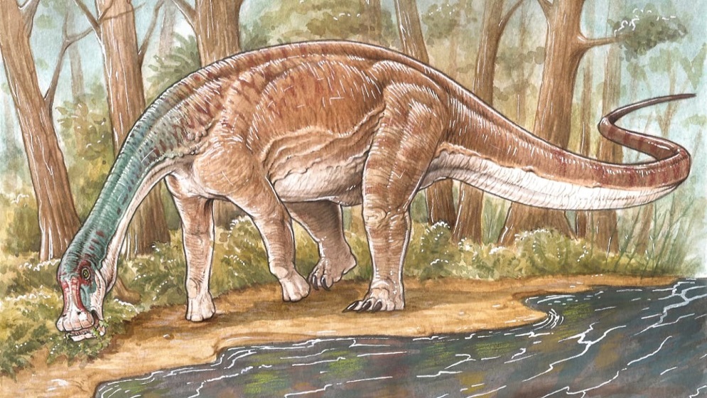 Descubren una nueva especie de dinosaurio titanosaurio en Neuquén | CONICET