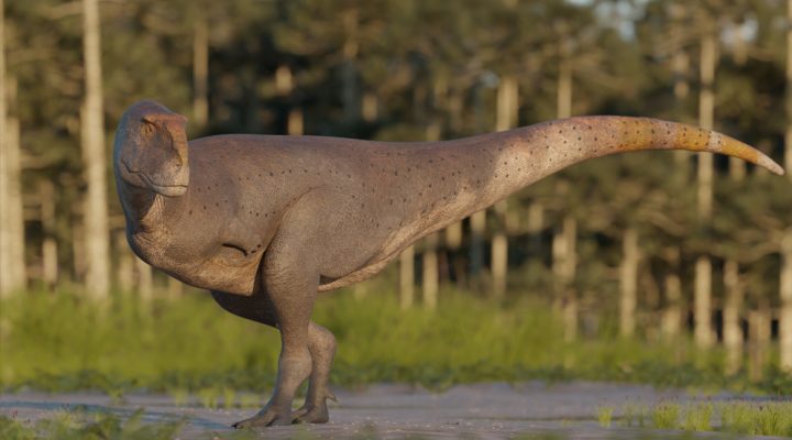 Hallan en Chubut una nueva especie de dinosaurio carnívoro que vivió hace 69 millones años