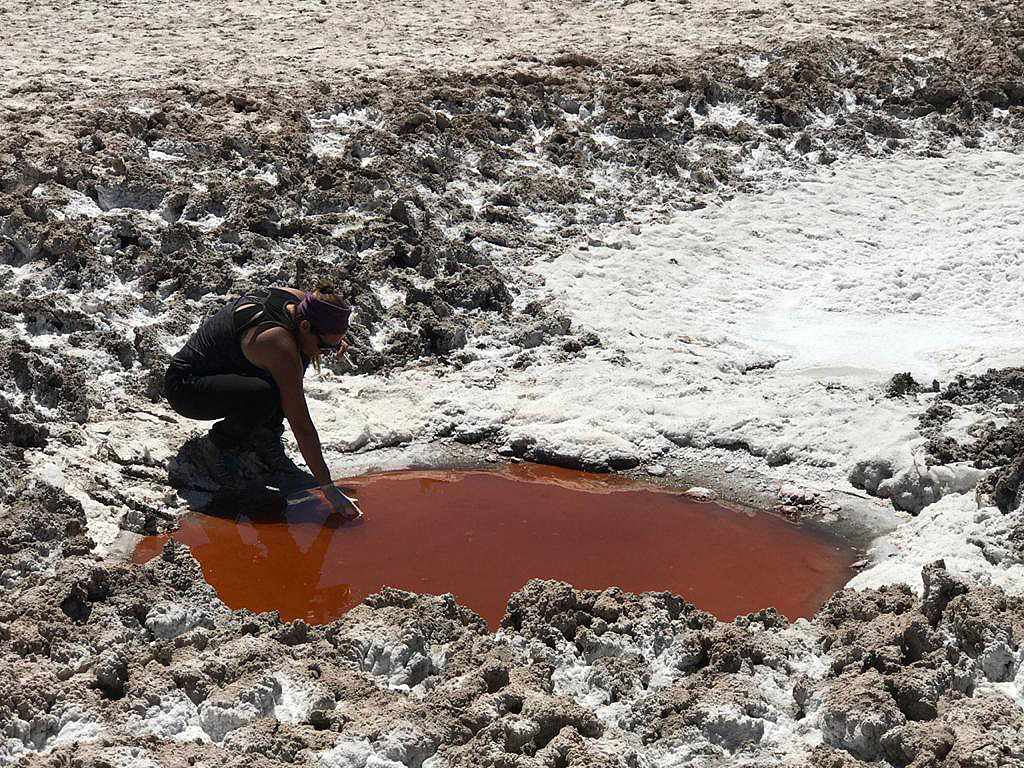 María Eugenia Farías: “En los salares y volcanes de la puna, la vida prospera pese a las 'condiciones extraterrestres' que presenta el entorno” | CONICET