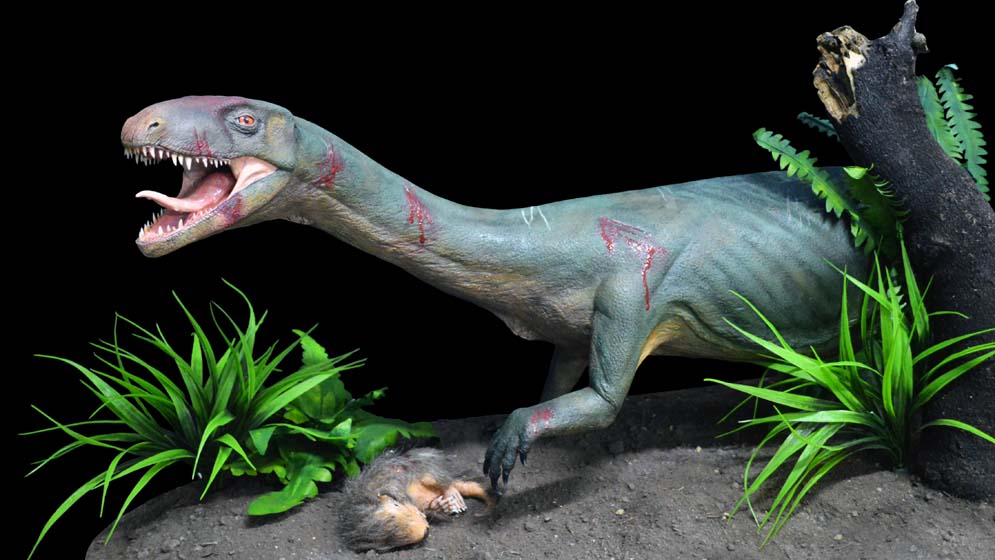 El antepasado más antiguo de las aves y los dinosaurios | CONICET El antepasado más antiguo de las aves y los dinosaurios | CONICET