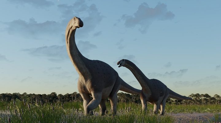 Científicos del CONICET descubren en Chubut los restos de un titanosaurio que vivió hace 66 millones de años