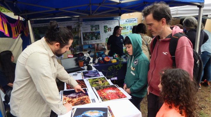 Innovadora experiencia de ciencia en el CCT CONICET Patagonia Norte