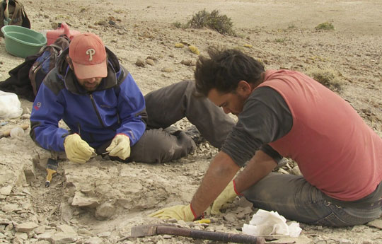 CONICET Documental estrena “Paleontología: Huellas de El Tranquilo” en ...