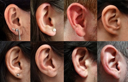 Huella de la oreja como posible metodo identificación.