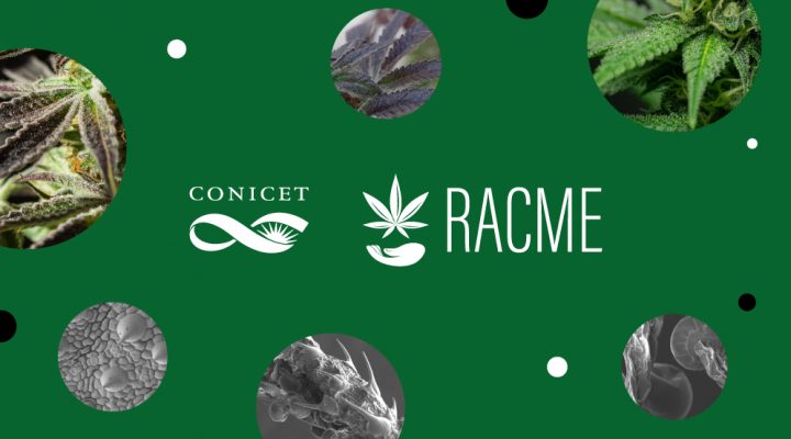 Se creó la Agencia Regulatoria de la Industria del Cáñamo y del Cannabis Medicinal (ARICCAME)