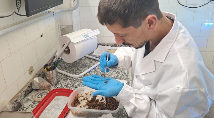 Científicos del CONICET prestan un servicio tecnológico para revalorizar residuos orgánicos de la industria alimentaria