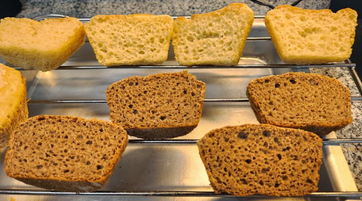 <i>Superalimento</i>: prueban formulaciones de panes con granos germinados para multiplicar el aporte de nutrientes